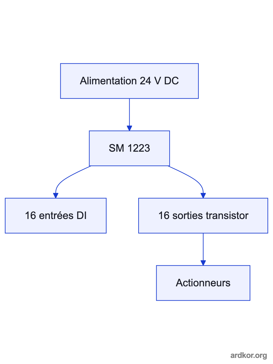A flow from 24 V DC field signals through the SM 1223 digital inputs to the S7-1200 CPU, then through sourcing MOSFET outputs to DC loads.