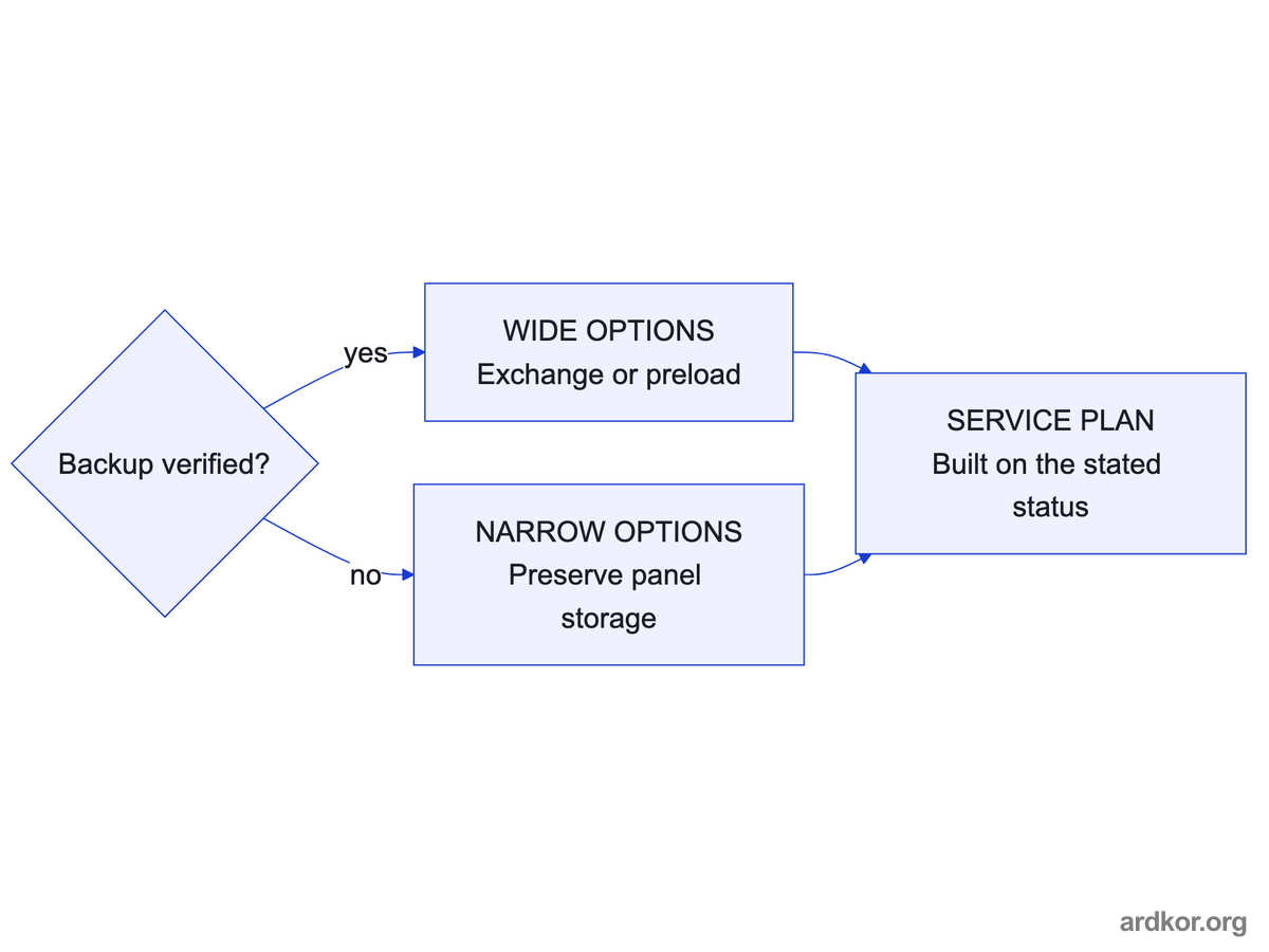 Backup status branches the service plan between wide exchange options and routes that preserve the panel storage.