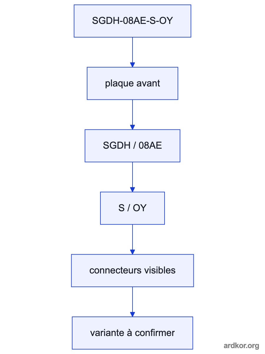 Diagram showing SGDH-08AE-S-OY between a motion controller and a matched servo motor.