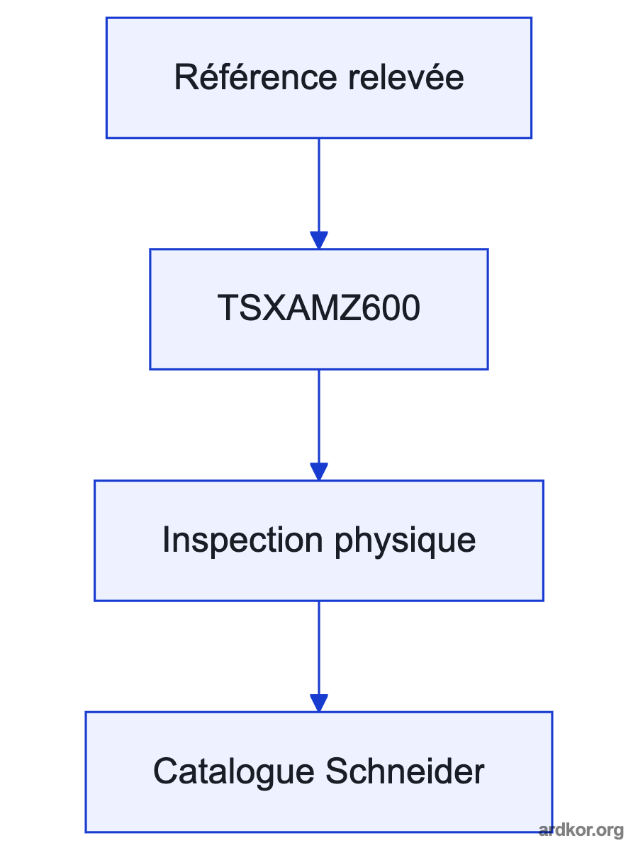 Diagram showing TSXAMZ600 between its documented upstream and downstream system stages.